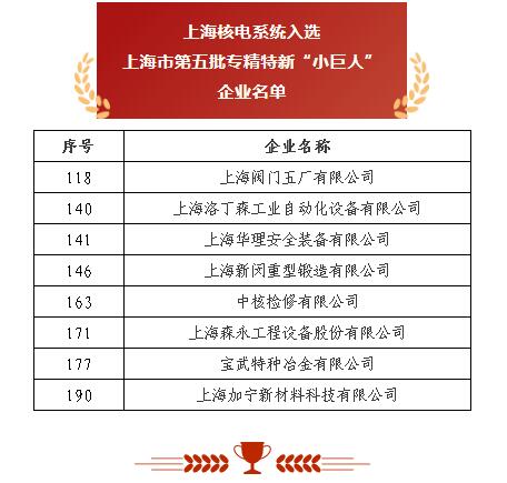 上海閥門五廠 以突破性閥門基礎軟件躋身“小巨人”，砥礪前行無畏創(chuàng)新華章